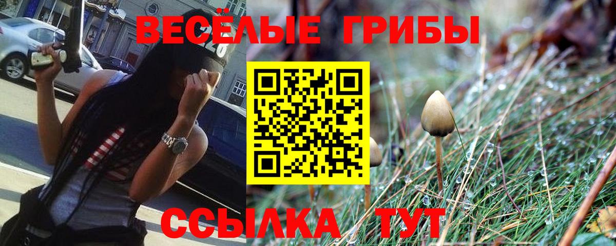 Псилоцибиновые грибы Psilocybine cubensis  Галлюциногенные грибы GOLDEN TEACHER  Югорск  Вход с VPN 