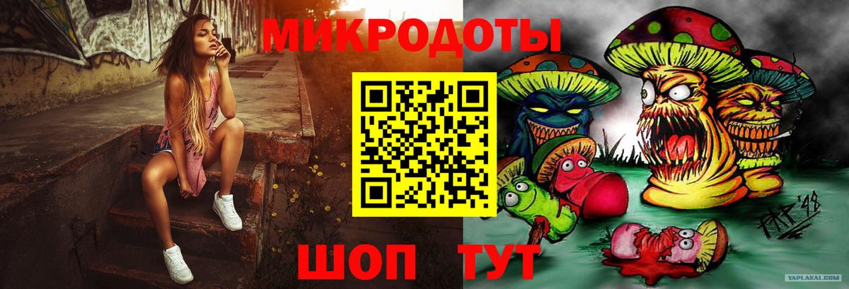 Псилоцибиновые грибы Psilocybe Югорск